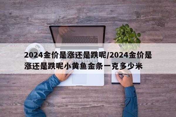 2024金价是涨还是跌呢/2024金价是涨还是跌呢小黄鱼金条一克多少米