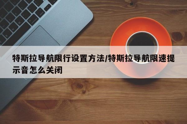 特斯拉导航限行设置方法