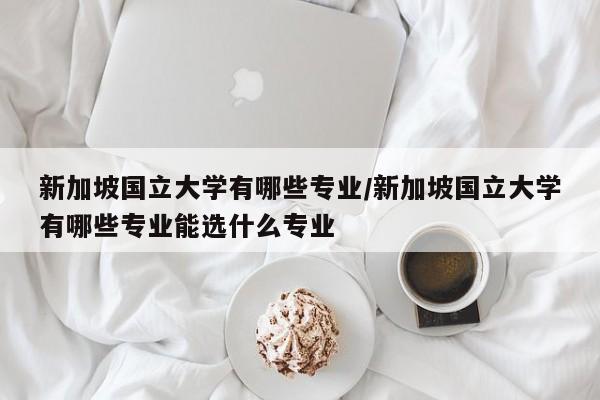 新加坡国立大学有哪些专业/新加坡国立大学有哪些专业能选什么专业