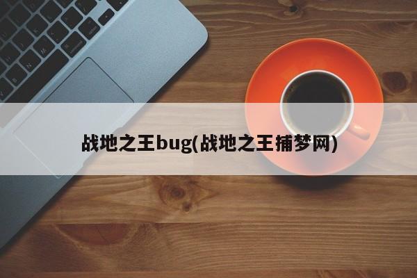 战地之王bug(战地之王捕梦网)